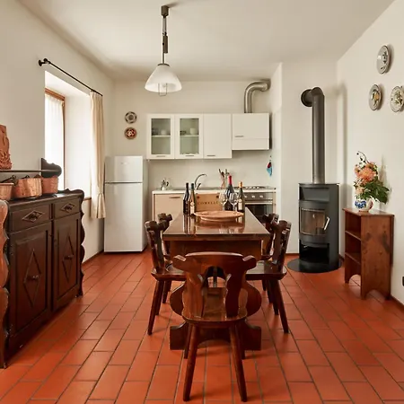 L'uva E Le Stelle