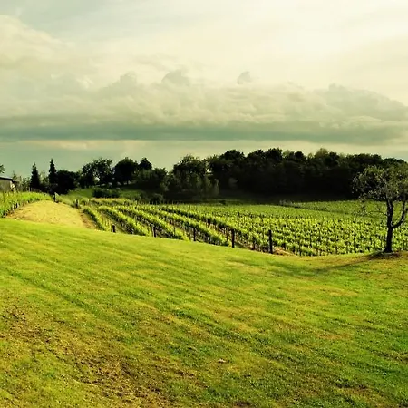 L'uva E Le Stelle Farm stay Faedis