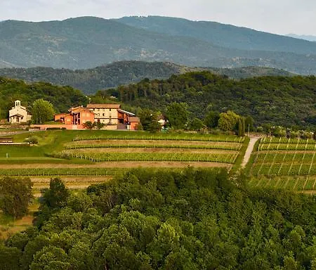 L'uva E Le Stelle Faedis