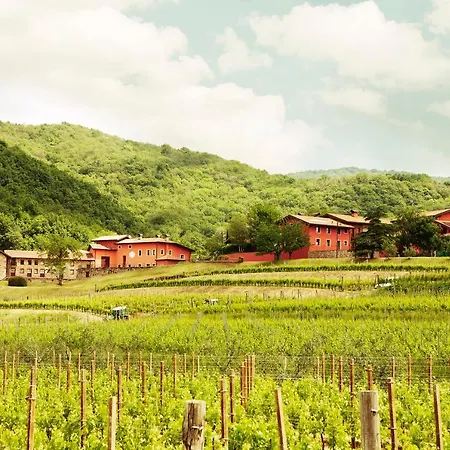 Farm stay L'uva E Le Stelle Faedis