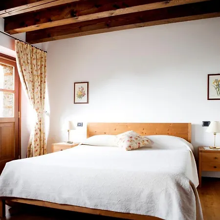 L'uva E Le Stelle Farm stay