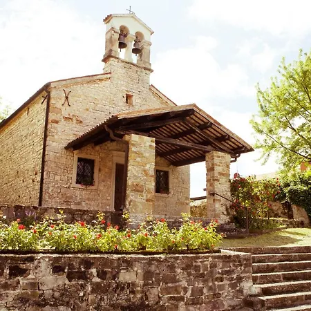 L'uva E Le Stelle Faedis