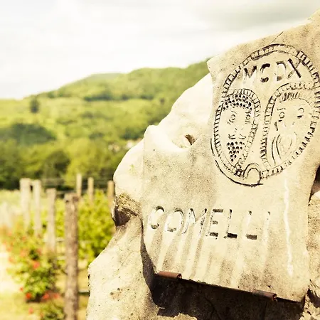 Lantgård L'uva E Le Stelle