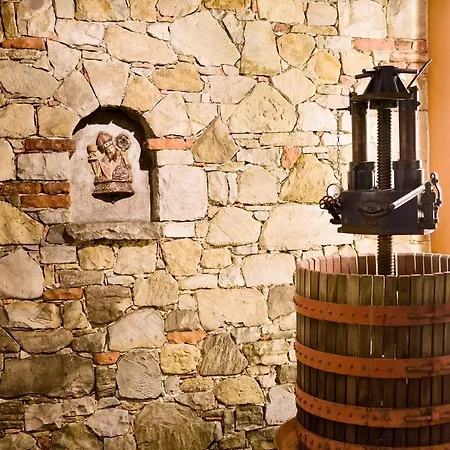 L'uva E Le Stelle Lantgård