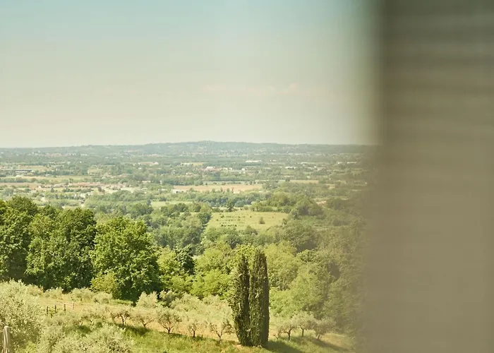 L'uva E Le Stelle Faedis