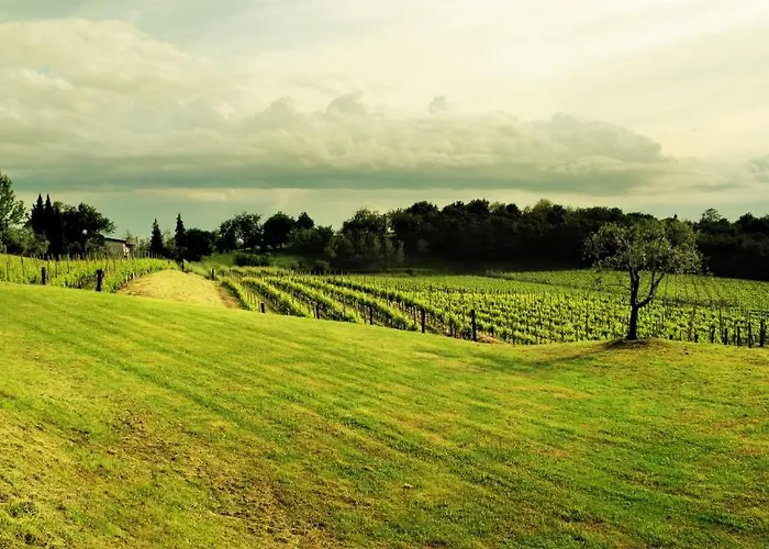 L'uva E Le Stelle Κατάλυμα σε φάρμα Faedis