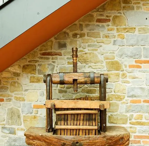 L'uva E Le Stelle Κατάλυμα σε φάρμα