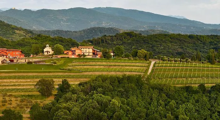 L'uva E Le Stelle Faedis