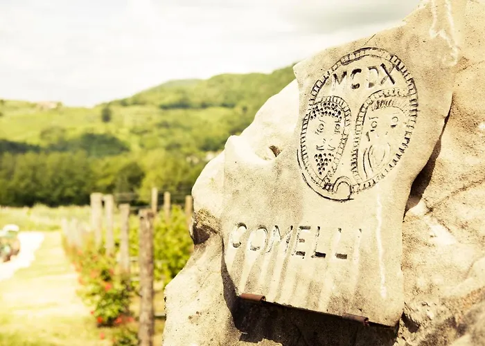 Κατάλυμα σε φάρμα L'uva E Le Stelle