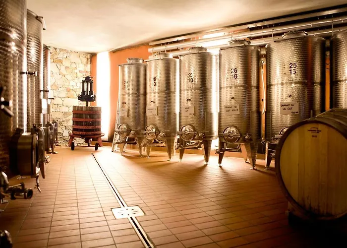 L'uva E Le Stelle Κατάλυμα σε φάρμα *